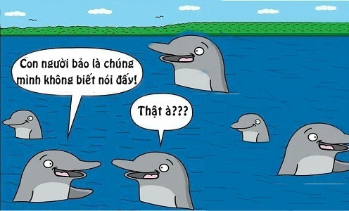 Nguyên nhân loài cá không thể nói chuyện - cá không thể nói chuyện