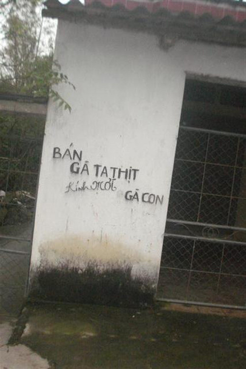 Gà con nào có nhu cầu thịt gà ta.