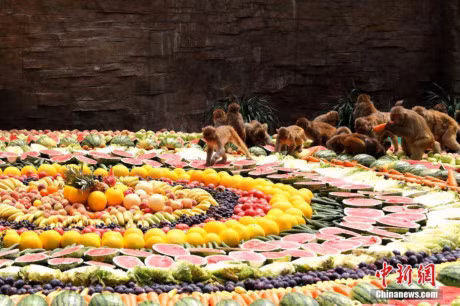 Giai nhiet voi dai tiec 4.000kg hoa qua cho cac chu khi - Anh 4