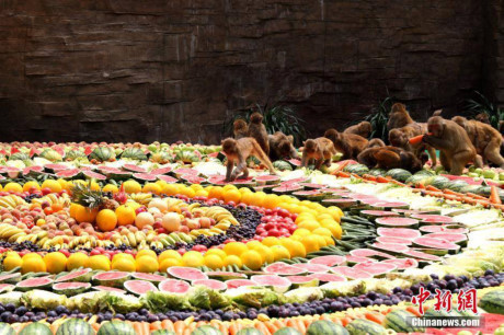 Giai nhiet voi dai tiec 4.000kg hoa qua cho cac chu khi - Anh 4