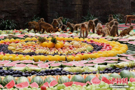 Giai nhiet voi dai tiec 4.000kg hoa qua cho cac chu khi - Anh 2