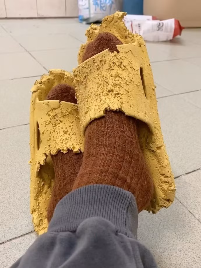 Từ ngày nuôi boss, sen luôn rơi vào cảnh chị Dậu.