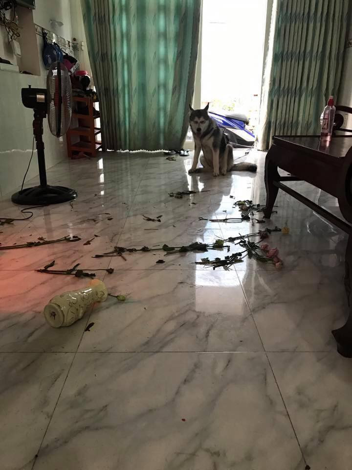 Hoa bàn thờ cũng héo rồi, để Boss giúp thay hoa mới nha. Hoa bàn thờ cũng héo rồi, để Boss giúp thay hoa mới nha.