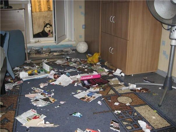 Hôm nay chơi vui quá. Để sen nó dọn dẹp xong rồi phá tiếp Hôm nay chơi vui quá. Để sen nó dọn dẹp xong rồi phá tiếp