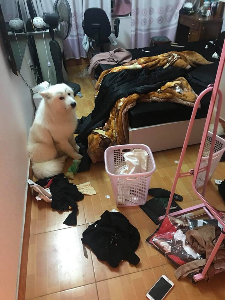 Khi hai ta cùng một "giường", khép đôi mi là nát "giường".... - Ảnh: Internet. Khi hai ta cùng một "giường", khép đôi mi là nát "giường".... - Ảnh: Internet.