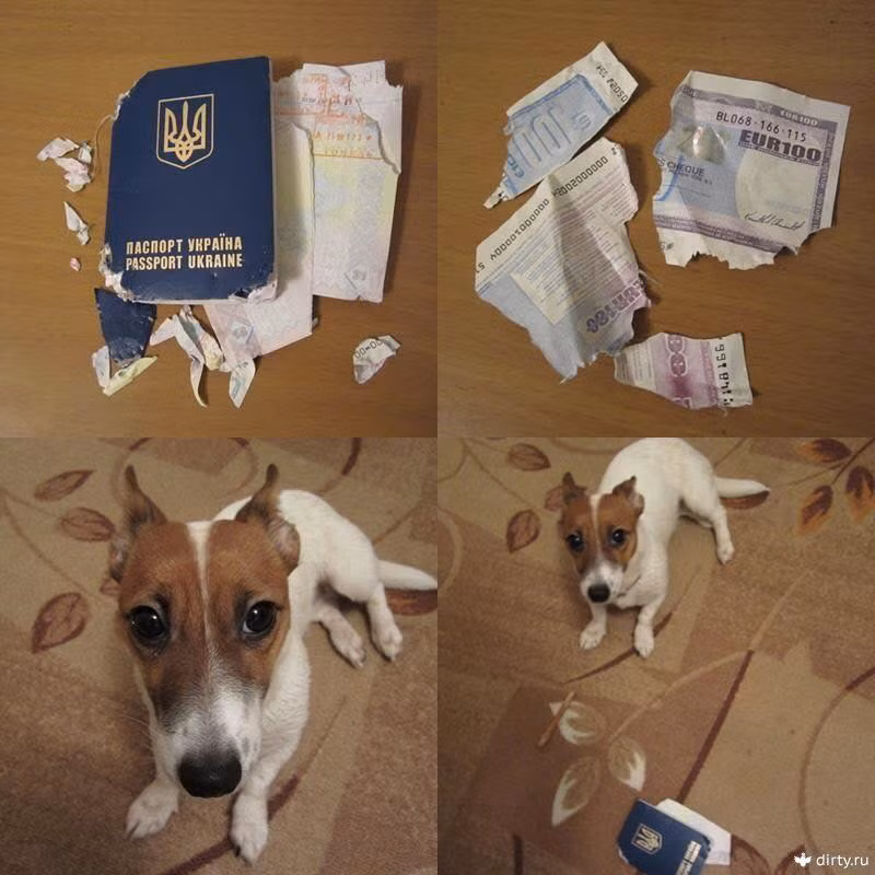 Có mỗi hộ chiếu với 100 eur thôi mà!