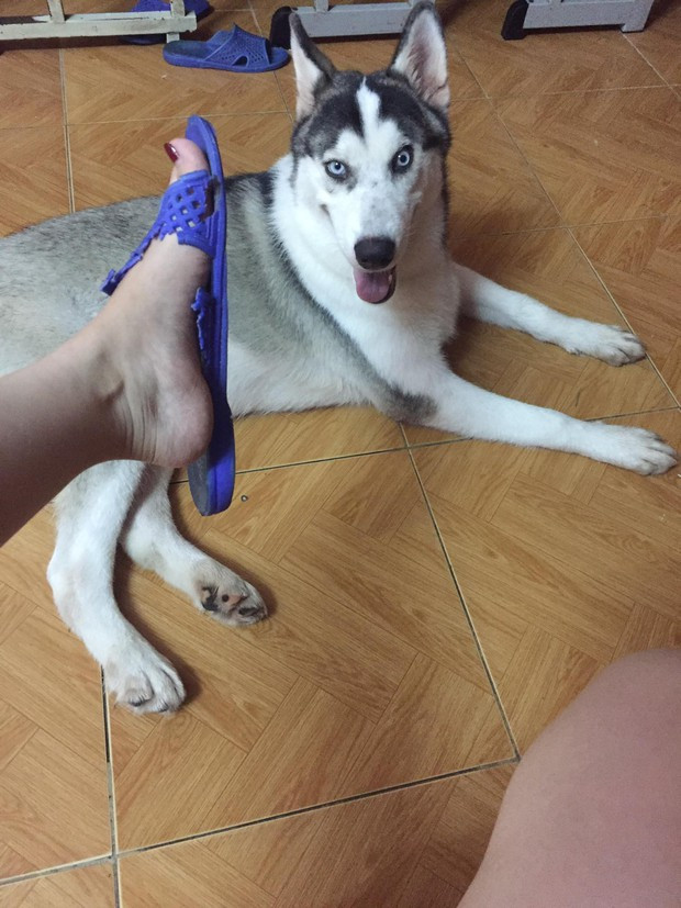 Nhìn quả mặt đã toát ra khí chất của tên 'phá gia chi tử' rồi Nhìn quả mặt đã toát ra khí chất của tên 'phá gia chi tử' rồi