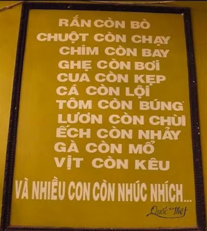 Xem xong anh em đừng cười nhé vì sẽ truyền "virus" ra cộng đồng ảnh 10 Quán nhậu độc nhất vô nhị.