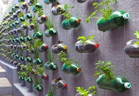 Giải pháp trồng rau xanh trong nhà phố vừa tiện lợi, tiết kiệm lại đảm bảo sạch sẽ ảnh 5 Giải pháp trồng rau xanh trong nhà phố vừa tiện lợi, tiết kiệm lại đảm bảo sạch sẽ ảnh 5