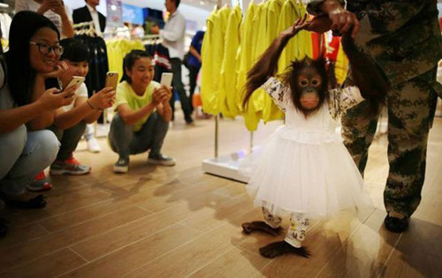 Em đẹp nhất hôm nay.