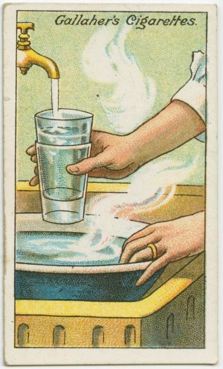 meo-vat-huu-ich-12