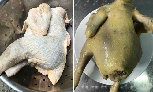 Con gà chị Linhmua lúc còn sống và sau khi đã luộc 50 phút - Ảnh: NVCC