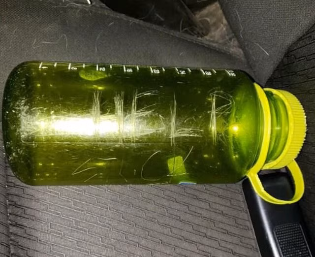 gia dinh 3 nguoi bi ket tren nui, vai ngay sau duoc giai cuu nho hanh dong kho tin - 3