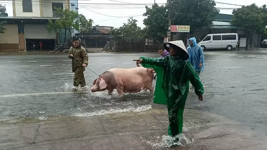 Bà con dưới hạ lưu hồ Kẻ Gỗ di tản vật nuôi