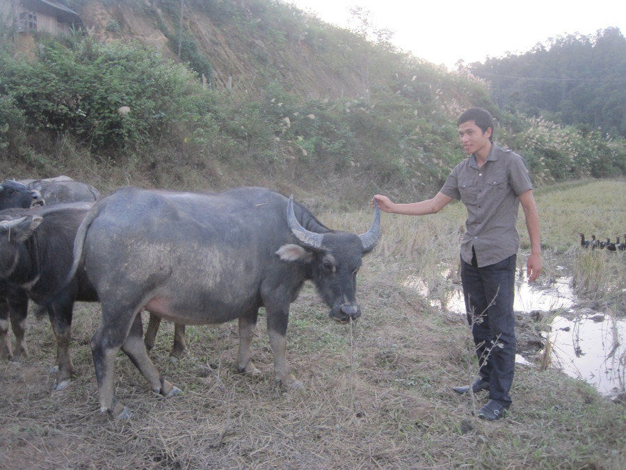 Tri thức trẻ tham gia phát triển kinh tế xã hội ảnh 1