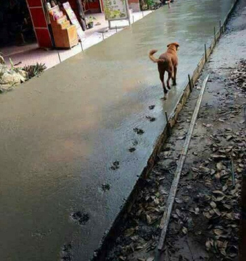 10-anh-hai-hot-nhat-facebook-trong-ngay-6