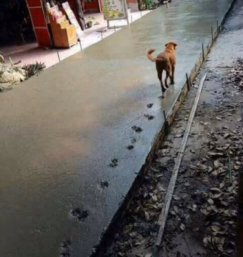 10-anh-hai-hot-nhat-facebook-trong-ngay-6