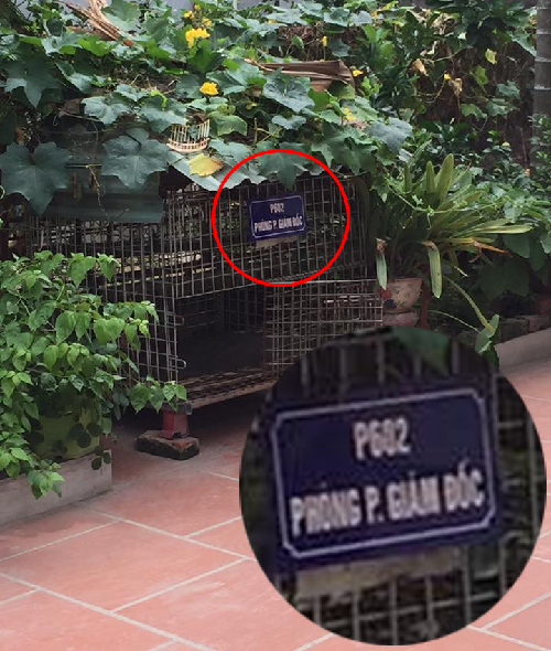 10-anh-hai-hot-nhat-facebook-trong-ngay