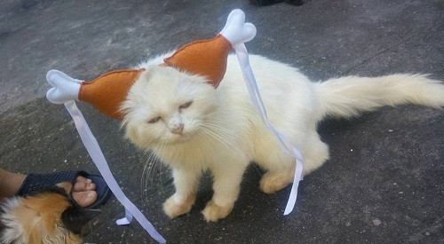 10-anh-hai-hot-nhat-facebook-trong-ngay-1