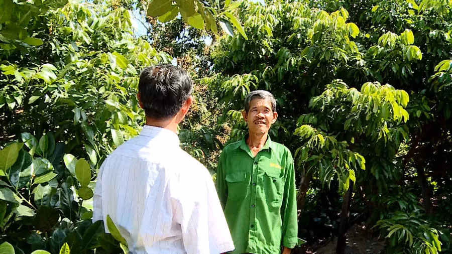 Thương binh Trần Văn An, được người dân thường gọi là ông Sáu Cá cơm. Thương binh Trần Văn An, được người dân thường gọi là ông Sáu Cá cơm.