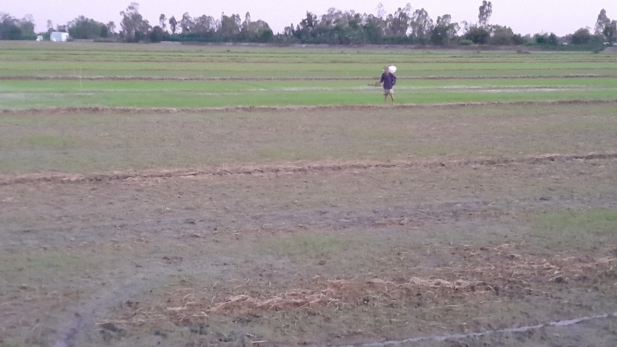 Nhiều nông dân gặp khó khăn trong sản xuất, thậm chí tỏ ra e ngại không dám đầu tư vụ lúa hè thu vì sợ thua lỗ. Nhiều nông dân gặp khó khăn trong sản xuất, thậm chí tỏ ra e ngại không dám đầu tư vụ lúa hè thu vì sợ thua lỗ.