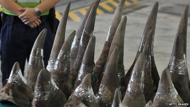 Sừng tê giác vẫn được bán công khai tại nhiều nước Sừng tê giác vẫn được bán công khai tại nhiều nước