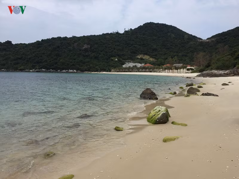 lanh dao tinh quang nam noi gi ve tuyen du lich da nang - cu lao cham? hinh 3