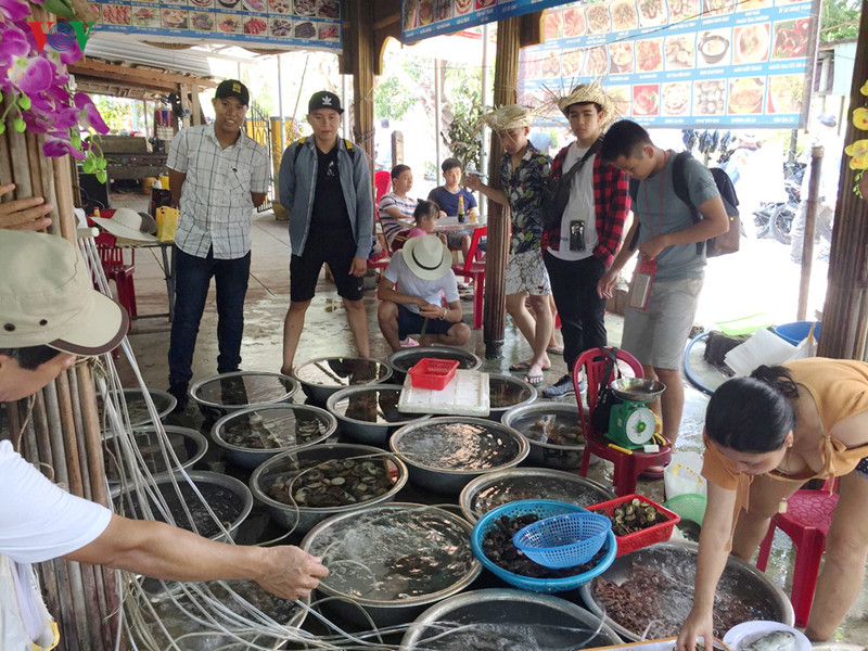 lanh dao tinh quang nam noi gi ve tuyen du lich da nang - cu lao cham? hinh 5