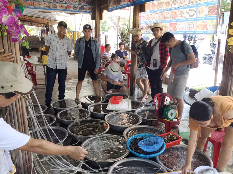 lanh dao tinh quang nam noi gi ve tuyen du lich da nang - cu lao cham? hinh 5