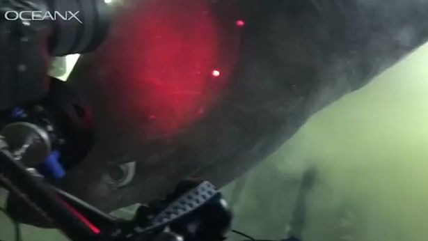 Chạm trán cá mập nguyên thuỷ siêu khổng lồ dưới biển sâu