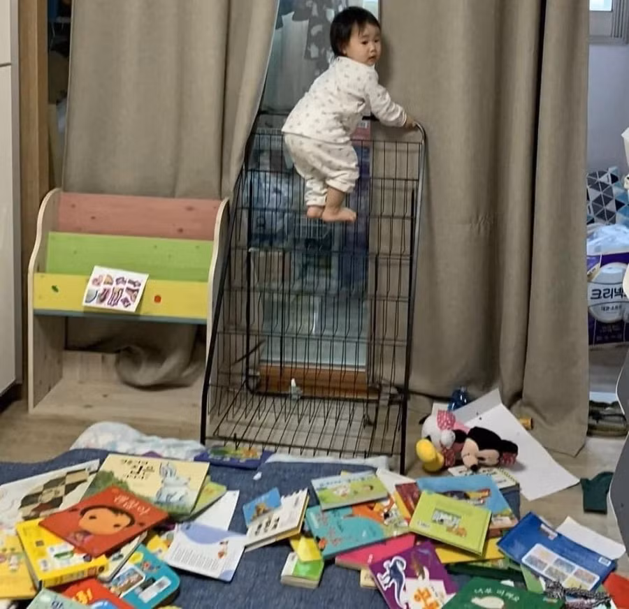 Vận động viên leo núi.