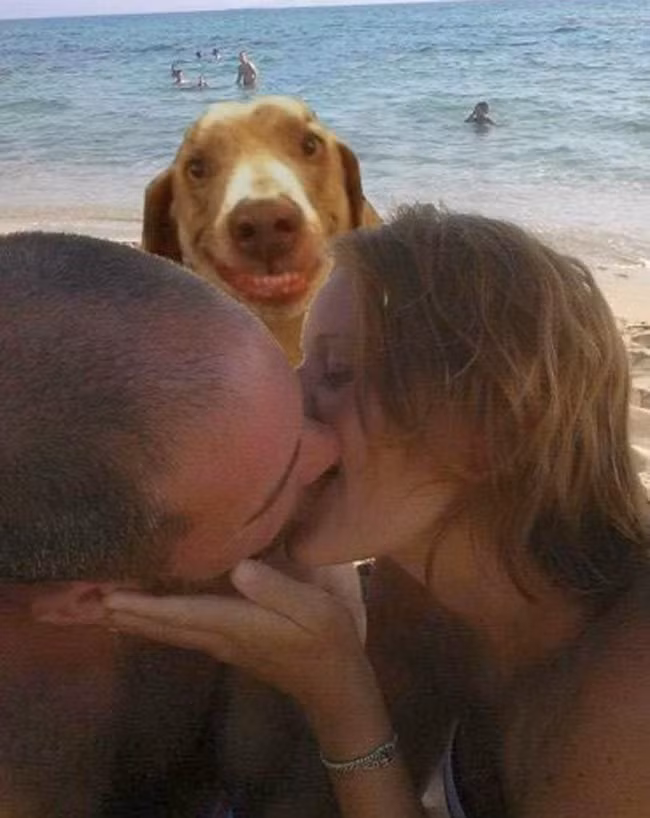 Cho em ké cái mặt tí nhé.