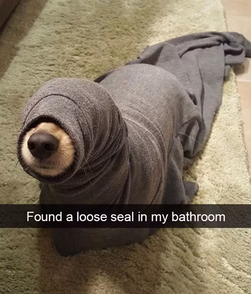 cuoi-te-ghe-27-11-day-thi-thanh-cong-va-that-bai-6