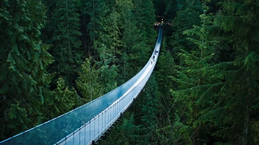 Chiêm ngưỡng những cây cầu “độc nhất vô nhị” trên khắp thế giới ảnh 1