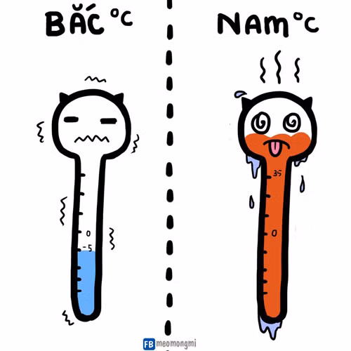 cuoi-te-ghe-27-11-day-thi-thanh-cong-va-that-bai-2