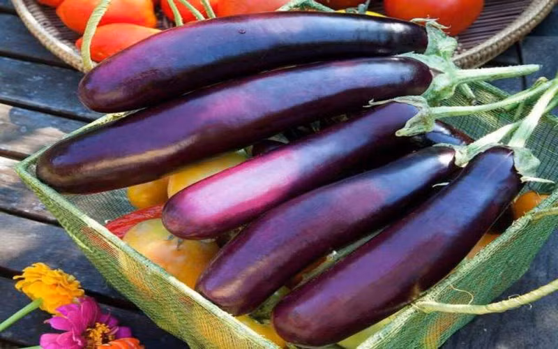 10 loai rau cu chua doc neu khong duoc nau chin ky hinh 8