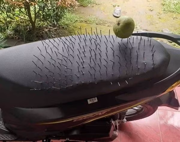 Cách giữ chồng có 1-0-2.