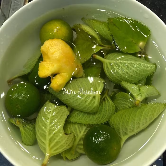 Công thức làm siro húng chanh đường phèn trị cúm, ho giao mùa cực nhạy cho bé