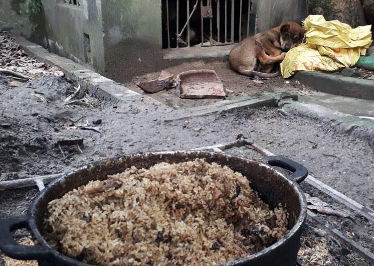 Chảo đồ ăn bà An chuẩn bị cho đàn chó ngày 5/4. Ảnh:Phương Sơn Chảo đồ ăn bà An chuẩn bị cho đàn chó ngày 5/4. Ảnh: Phương Sơn