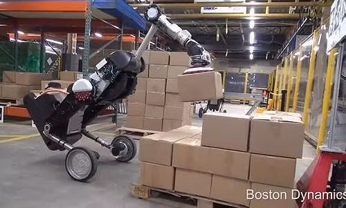 Xem robot hình chim xếp hàng hóa trong tích tắc