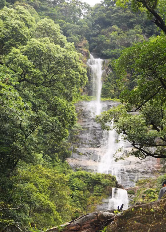 Thác Vũ Môn được ví như hòn ngọc giữa rừng xanh bao la