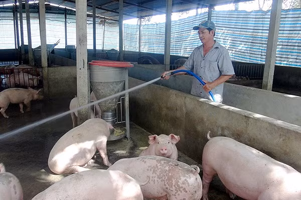 Keyword đầu tiên có dấu