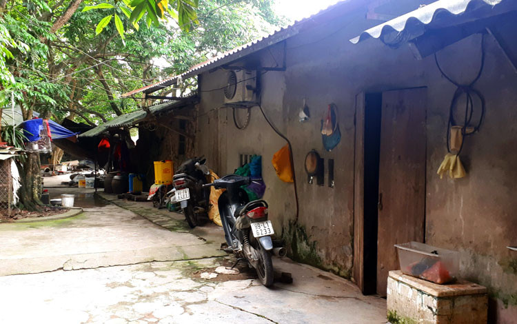 Dãy nhà trọtrong khuôn viênnhàbà An là nơi bé traisinh sống cùng gia đình. Ảnh:Phương Sơn Chủ đàn chó cắn bé trai tử vong: Tôi rất ân hận và không hiểu chuyện gì xảy ra - 1