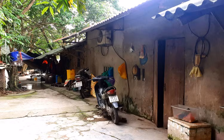 Chủ đàn chó cắn bé trai tử vong: Tôi rất ân hận và không hiểu chuyện gì xảy ra - 1