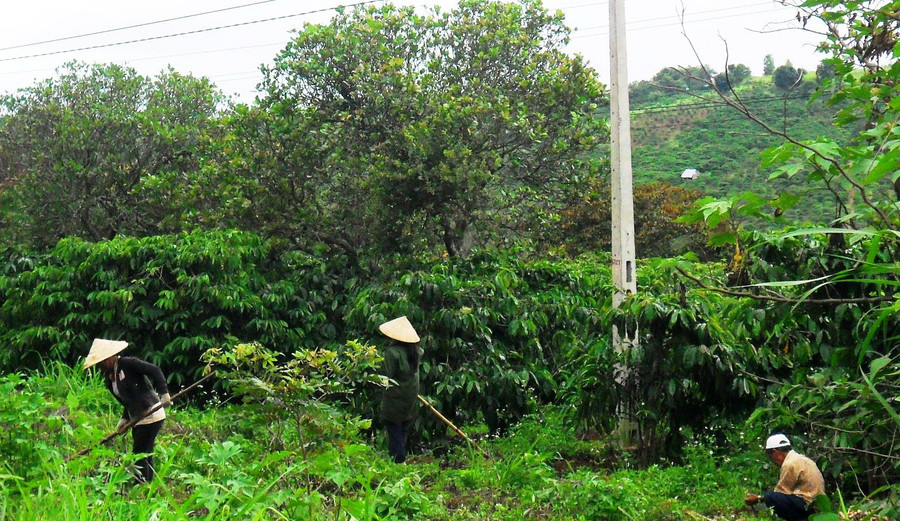 Chia sẻ cách làm kinh tế với người dân tộc thiểu số Chia sẻ cách làm kinh tế với người dân tộc thiểu số