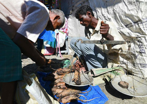 Nhiều người dân Ấn Độ đổ xô mua... thịt chuột ảnh 1 Nhiều người dân Ấn Độ đổ xô mua... thịt chuột ảnh 1