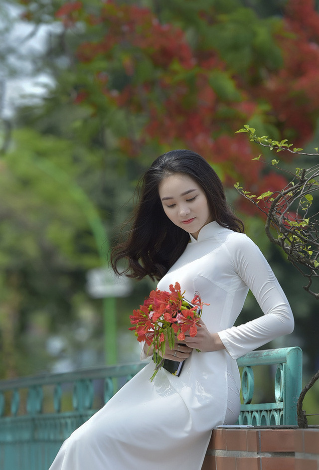Nữ sinh tuổi 16 lãng mạn bên chùm hoa phượng đỏ ảnh 5 Em đã từng làm người mẫu ảnh trên một số trang báo