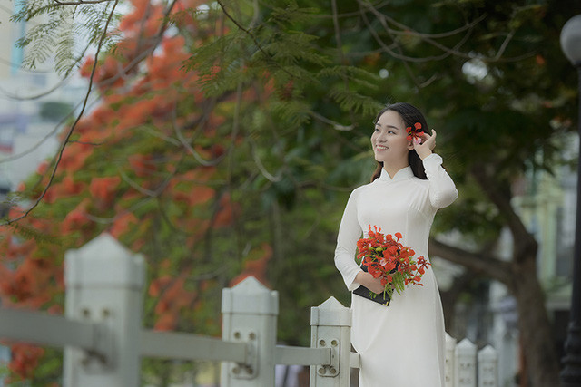 Nữ sinh tuổi 16 lãng mạn bên chùm hoa phượng đỏ ảnh 13 Nữ sinh tuổi 16 lãng mạn bên chùm hoa phượng đỏ ảnh 13