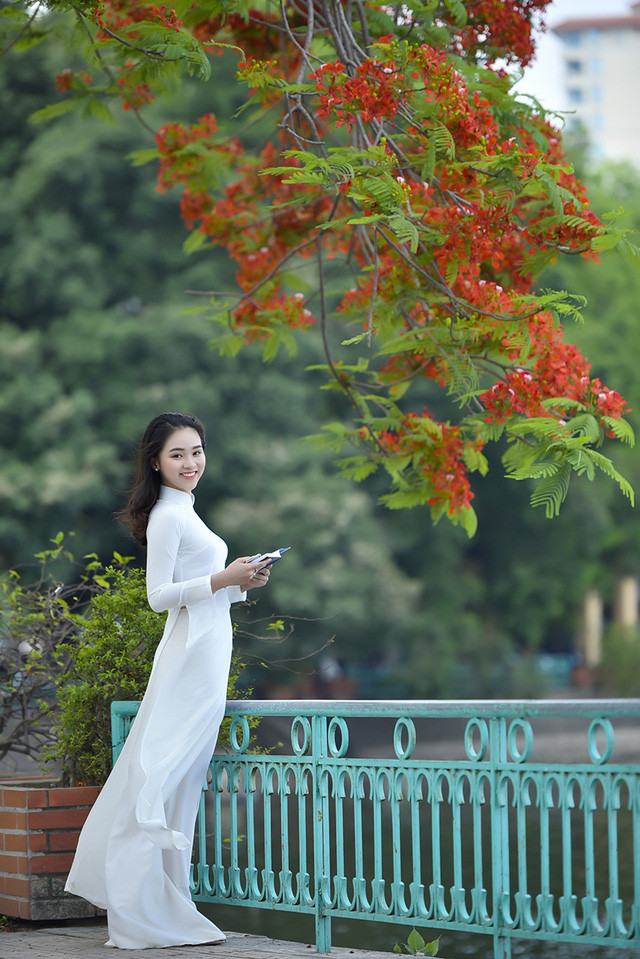 Nữ sinh tuổi 16 lãng mạn bên chùm hoa phượng đỏ ảnh 4 Ngọc Anh có vẻ đẹp hài hòa, rất ăn ảnh.