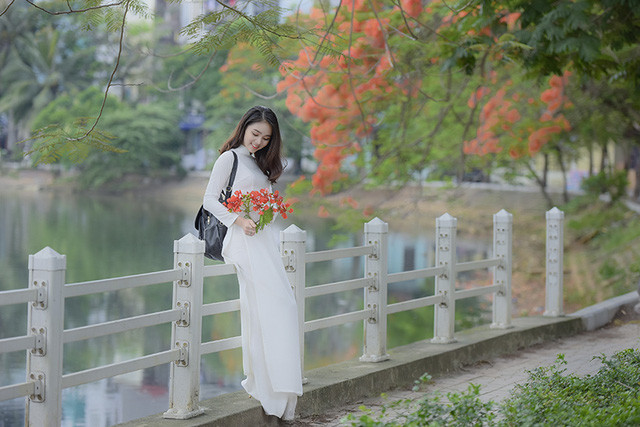 Nữ sinh tuổi 16 lãng mạn bên chùm hoa phượng đỏ ảnh 12 Nữ sinh tuổi 16 lãng mạn bên chùm hoa phượng đỏ ảnh 12